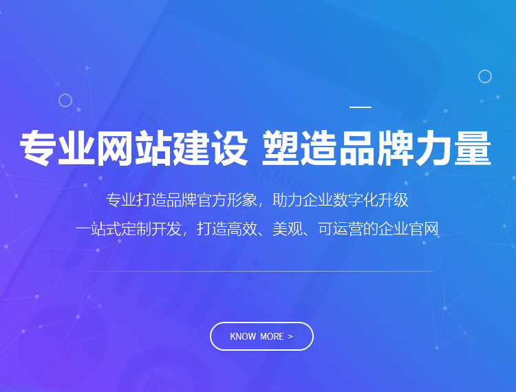奉化建站-专业网站建设 塑造品牌力量
